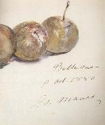 Edouard Manet Lettre avec trois prunes (mk40) Spain oil painting reproduction